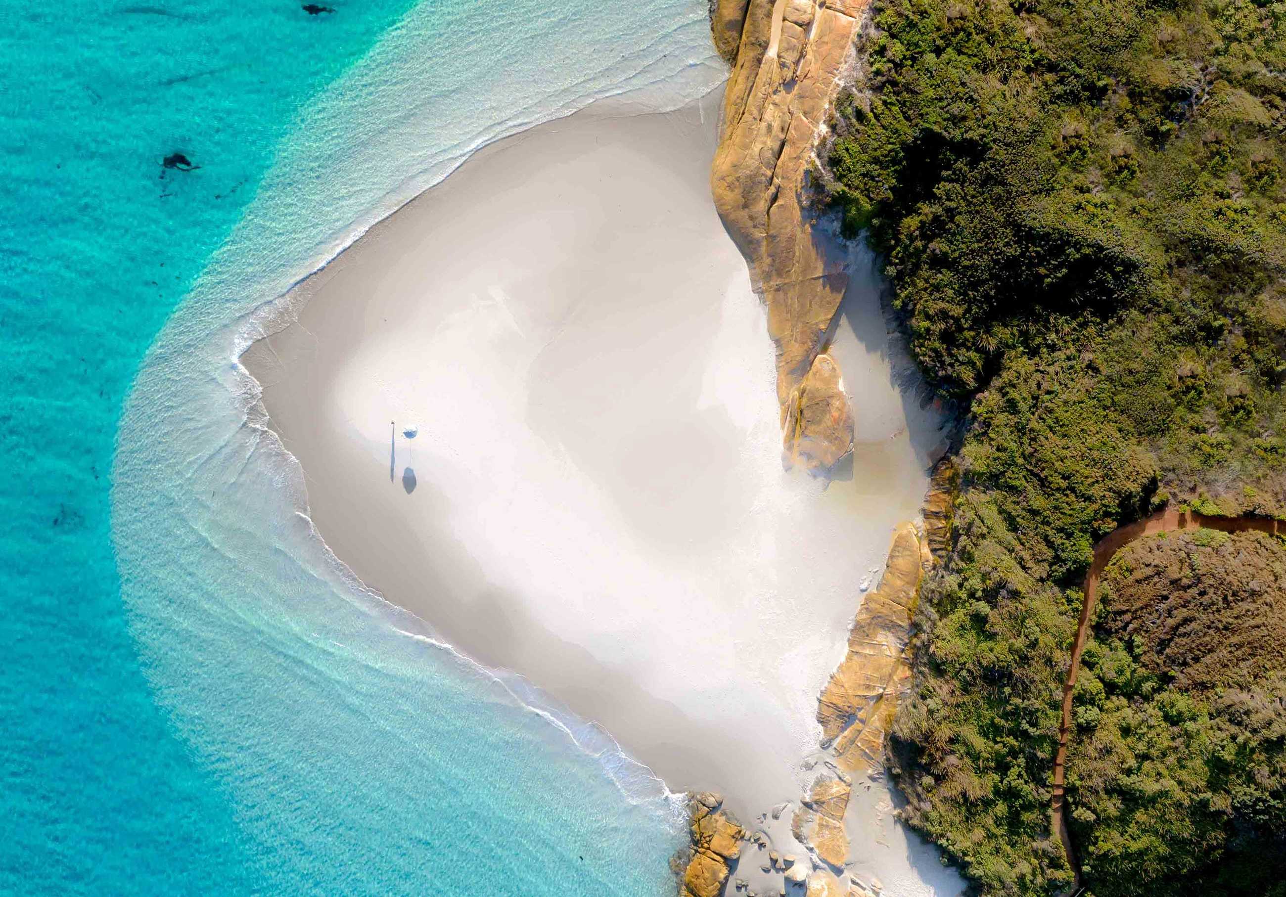Island Eco Systems Project Image